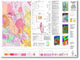 Geophysical Interpretation Maps - 1:100 000