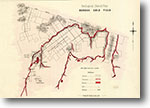 Bendoc Gold Field 1:63,360 geological map (1889)