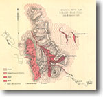 Bonang Goldfield 1:31,680 geological map