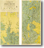 Steiglitz Gold Field 1:7,920 geological map (1940)