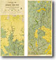 Steiglitz Gold Field 1:7,920 geological map (1940)