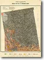 Walhalla Gold Field 1:31,680 geological and topographic plan (1901)