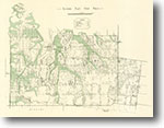 Elysian Flat Gold Field 1:31,680 geological map (1896)