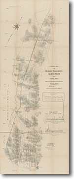 Eaglehawk quartz reefs from Napoleon Gully north to Raywood, with anticlinal axes, mine shafts, alluvial workings, dykes, geological sections (1903)