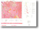 Tallangatta 1:250 000 geological map (1976)