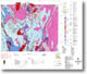 Tallangatta 1:250 000 geological map (1997)