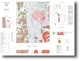 027 - Rheola 1:50 000 geological map
