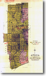     4 - Avoca geological parish plan - 1:31 680 (1895)