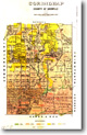    46 - Corindhap geological parish plan - 1:31 680 (1895)