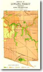    56 - Dowling Forest geological parish plan - 1:31 680 (Undated)