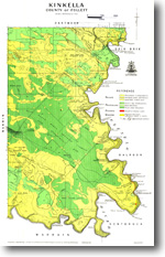    82 - Kinkella geological parish plan - 1:31 680 (1931)
