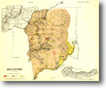   127 - Queenstown geological parish plan - 1:31 680 (1888)