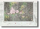 15NE - Geological Quarter Sheet - 1:31 680