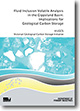 VicGCS Report 6 - Fluid inclusion volatile analysis in the Gippsland Basin: Implications for geological carbon storage